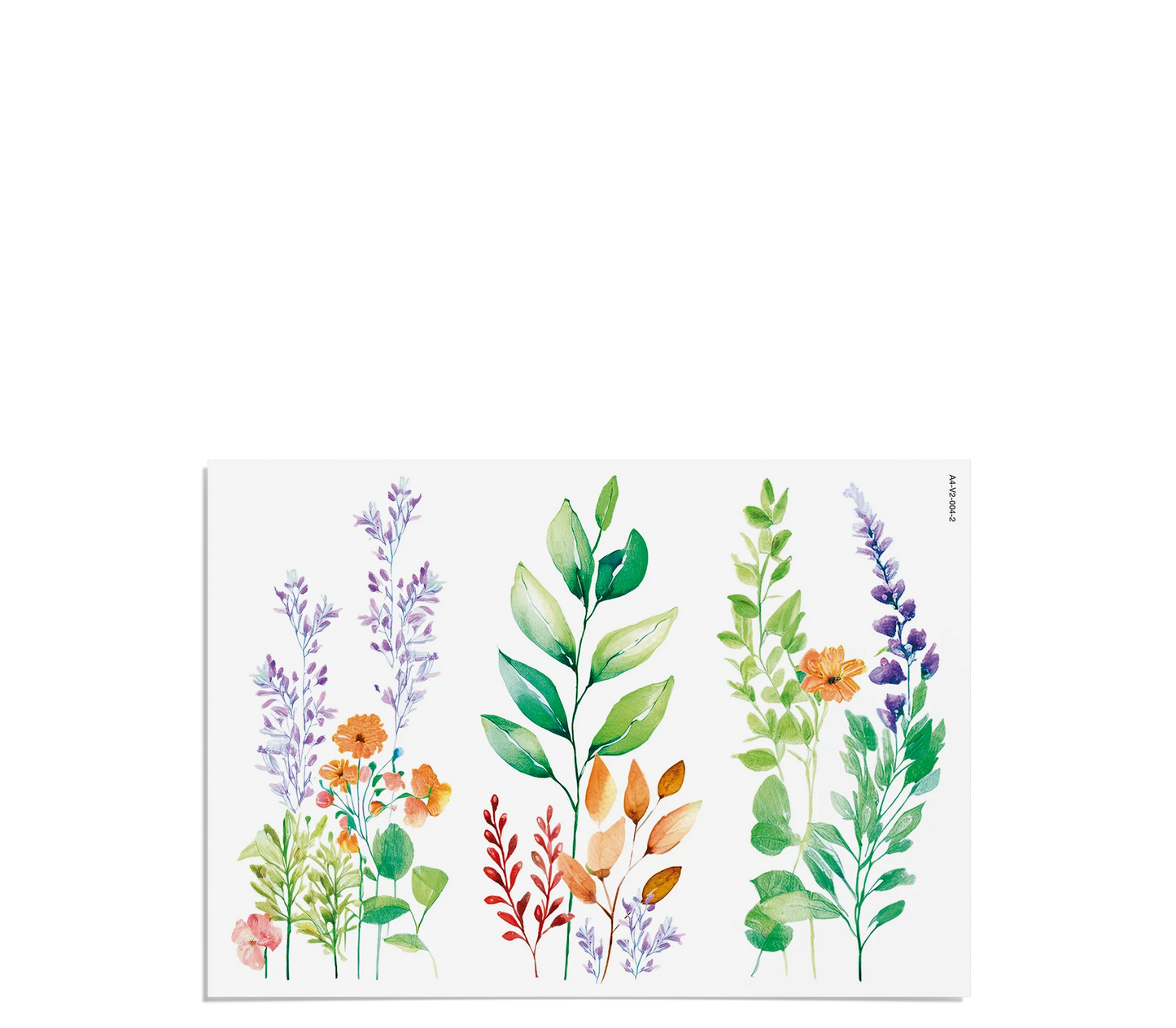 Fensterbilder | Blumenwiese