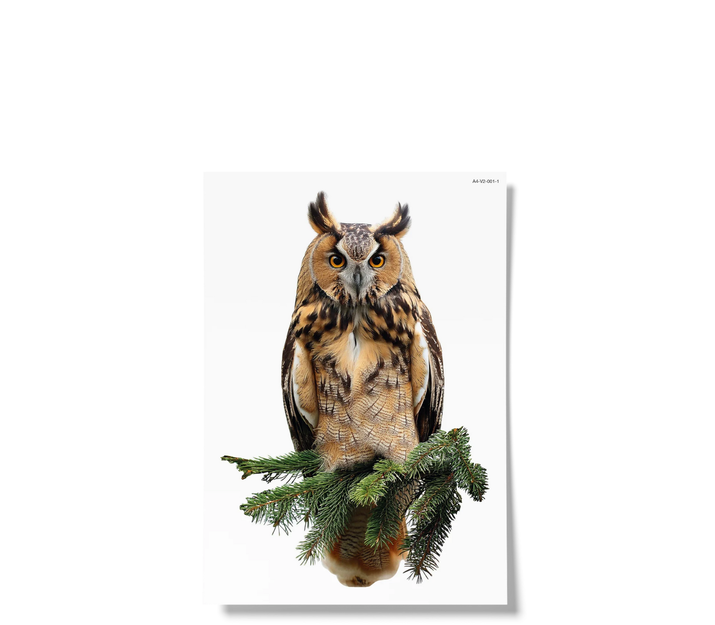 Fensterbilder | Waldvögel