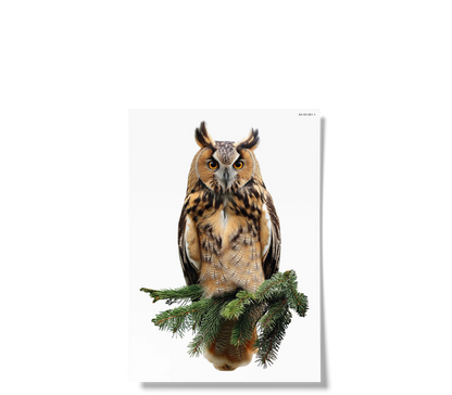 Fensterbilder | Waldvögel