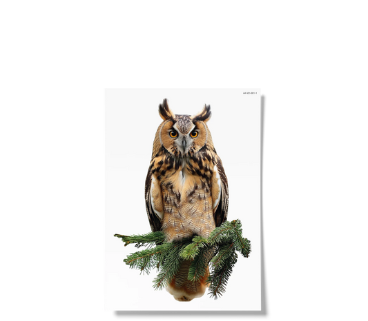 Fensterbilder | Waldvögel