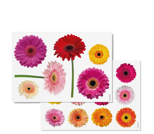 Fensterbilder | Gerbera