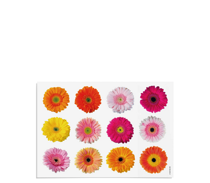 Fensterbilder | Gerbera