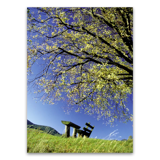 Poster Holzbank